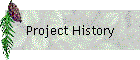 Project History